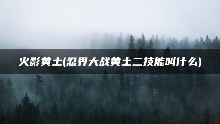 火影黄土(忍界大战黄土二技能叫什么)