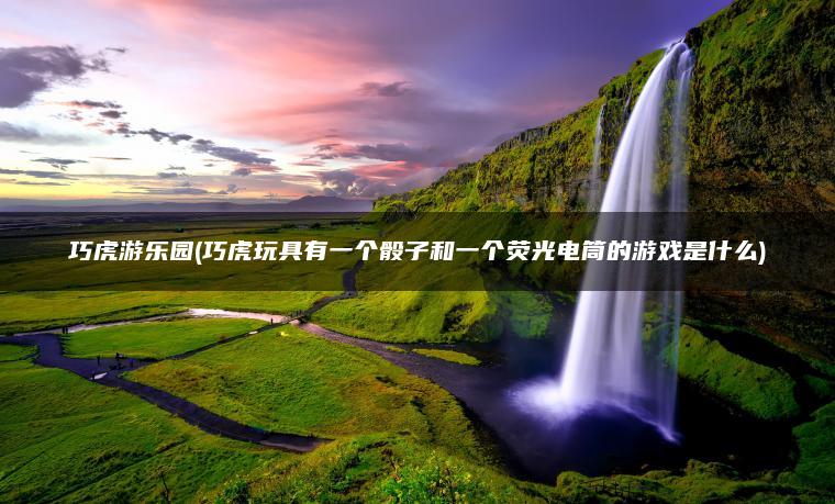 巧虎游乐园(巧虎玩具有一个骰子和一个荧光电筒的游戏是什么)