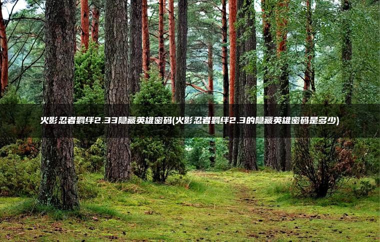 火影忍者羁绊2.33隐藏英雄密码(火影忍者羁绊2.3的隐藏英雄密码是多少)